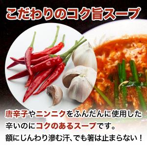 激辛 麺 店の味 宮崎新名物 辛麺屋 輪 辛麺...の詳細画像5