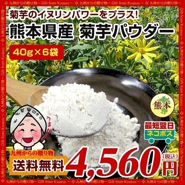 菊芋パウダー 熊本県産菊芋使用 ふるさと菊芋パウダー40gX6袋 テレビで話題 イヌリンパワー お取...