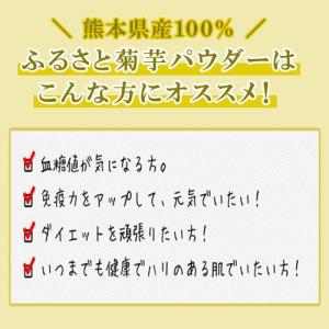 菊芋 パウダー 熊本県産菊芋使用 ふるさと 菊...の詳細画像2
