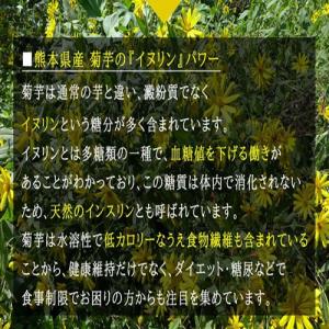 菊芋 パウダー 熊本県産菊芋使用 ふるさと 菊...の詳細画像3
