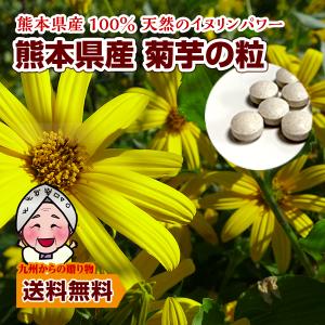 菊芋 熊本県産菊芋使用 菊芋の粒(90粒×1袋)約1ヶ月分 いまテレビで話題 イヌリンパワー お取り寄せ 送料無料 グルメ ポイント利用 爆買 ポイント消化