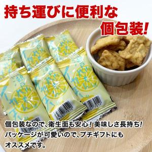 小袋 おつまみ イカ天瀬戸内レモン 約22g ...の詳細画像2