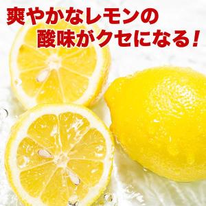 小袋 おつまみ イカ天瀬戸内レモン 約22g ...の詳細画像4