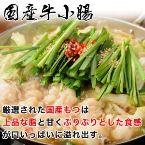 お取り寄せ 本場 博多もつ鍋セット 国産もつ増...の詳細画像4