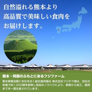 馬刺し 国産 上赤身 約200g 熊本名物 タ...の詳細画像3