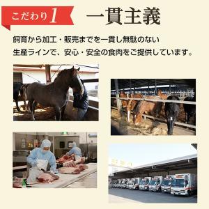 馬刺し 国産 上赤身 約200g 熊本名物 タ...の詳細画像4