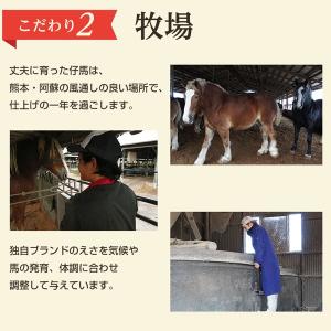 馬刺し 国産 上赤身 約200g 熊本名物 タ...の詳細画像5