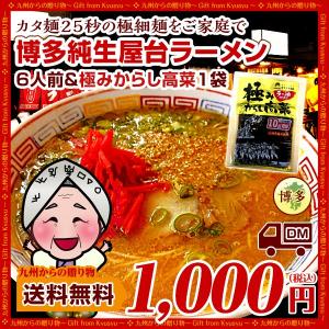 超極細麺使用 博多屋台ラーメン「純生仕込」6人前&amp;「極み」辛子高菜1袋 1000円 ポッキリ グルメ お取り寄せ 送料無料 ポイント消化 お試し わけあり