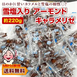 雪塩アーモンドキャラメリゼ 約220g  カリッと香ばしい 小袋 小分け ピロ包装 止まらない 小腹 お酒 沖縄 宮古島産 雪塩 お菓子 個包装 ポイント利用