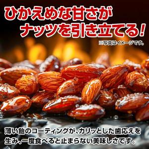 雪塩アーモンドキャラメリゼ 約220g カリッ...の詳細画像3