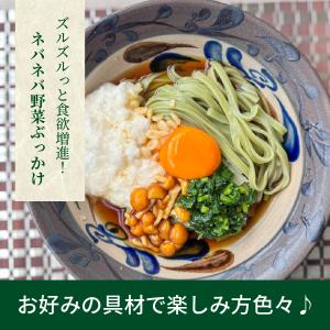 つるつる モチモチ 新食感 モロヘイヤうどん5...の詳細画像5