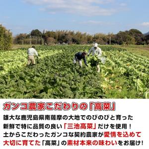 漬物 鹿児島県産 高菜 たかな漬 高菜(160...の詳細画像2