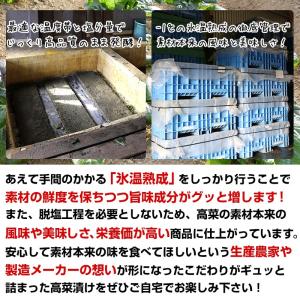 漬物 鹿児島県産 高菜 たかな漬 高菜(160...の詳細画像3