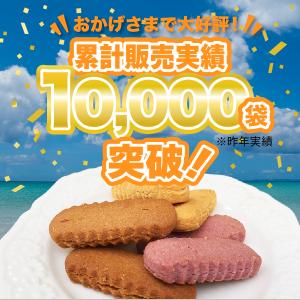 沖縄 ちんすこう バラエティセット 42個(2...の詳細画像1