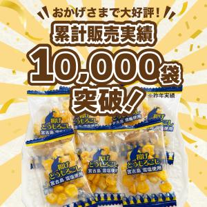 訳あり おつまみ 雪塩 揚げとうもろこし 小袋...の詳細画像2