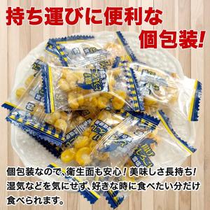 訳あり おつまみ 雪塩 揚げとうもろこし 小袋...の詳細画像2