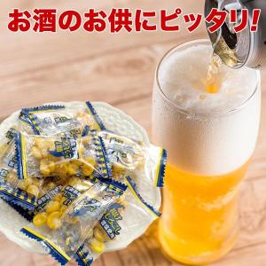 訳あり おつまみ 雪塩 揚げとうもろこし 小袋...の詳細画像3