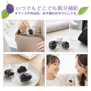 まるでプルーングミ 約120g 小分け 訳あり...の詳細画像4