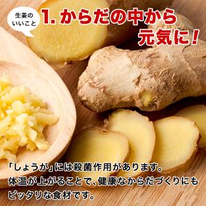元祖 おかずしょうが(100g) ×4袋 しょ...の詳細画像2