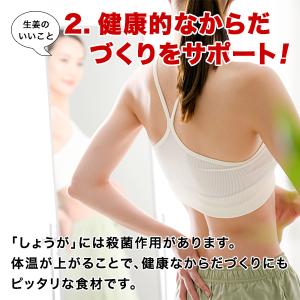 元祖 おかずしょうが(100g) ×4袋 しょ...の詳細画像3