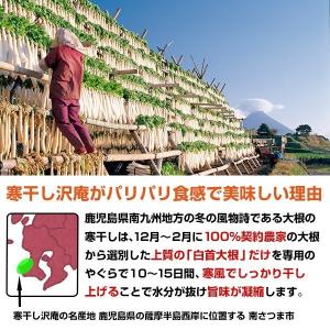 小袋おつまみ 3種食べ比べセット国産ぽりぽりひ...の詳細画像2