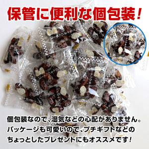 雪塩ピーナッツキャラメリゼ 約350g カリッ...の詳細画像1