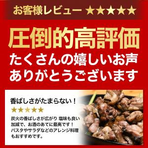 宮崎名物 鶏の炭火焼き 100gX3袋 国産1...の詳細画像2