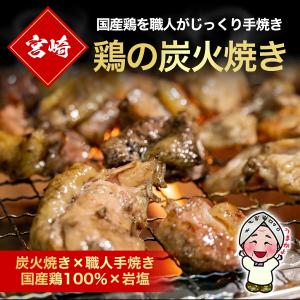 宮崎名物 鶏の炭火焼き 100gX3袋 国産1...の詳細画像4