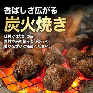 宮崎名物 鶏の炭火焼き 100gX3袋 国産1...の詳細画像5