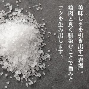 宮崎名物 鶏の炭火焼き 100gX3袋 国産1...の詳細画像4