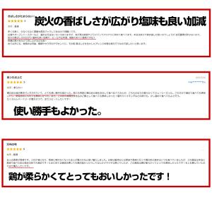 宮崎名物 鶏の炭火焼き 100gX3袋 国産1...の詳細画像5