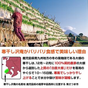 九州産漬物 寒干し 沢庵 梅酢・たまり漬け・味...の詳細画像1