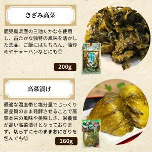 漬物 高菜 九州高菜バラエティ4袋セット 明太...の詳細画像3