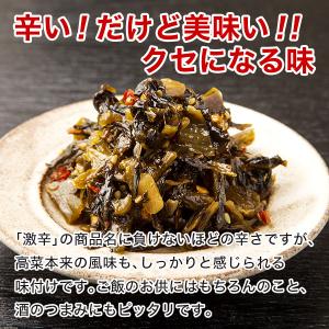 激辛 辛子高菜たっぷり500g 油炒め 業務用...の詳細画像4