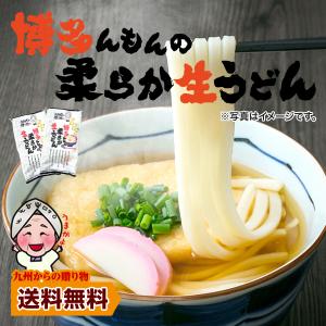 送料無料 博多 あご出汁 博多んもん柔らか生うどん 2人前 乾燥ねぎ付き 半生麺 博多うどん うどん ポイント消化 わけあり お試し ポイント利用 爆買