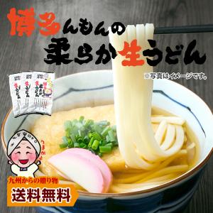 お試しうどん 限定クーポンあり 送料無料 博多 あご出汁 博多んもん柔らか生うどん 3人前 乾燥ねぎ付き 半生麺 博多うどん うどん ポイント消化 わけあり