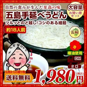 幻の五島うどん(長崎五島手延べうどん)約18人前お得なオススメセットグルメ お取り寄せ 送料無料 ポイント消化 お試し 食品 ネコポス 2口 ポイント利用 爆買