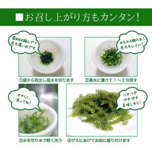 産地直送 海ぶどう(茎付き)50g×2袋 沖縄...の詳細画像3
