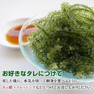 産地直送 海ぶどう(茎付き)50g×2袋 沖縄...の詳細画像4