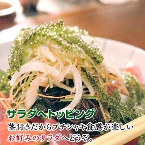 産地直送 海ぶどう(茎付き)50g×2袋 沖縄...の詳細画像5