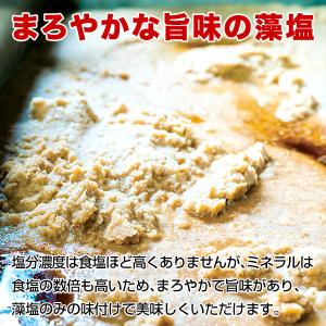 塩 天然塩 長崎 五島列島の恵 矢堅目の塩 5...の詳細画像3