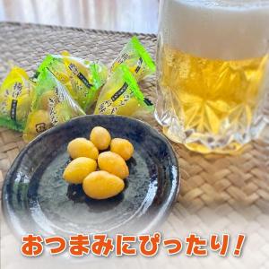 小袋おつまみ 揚げぎんなん 約100g 塩味 ...の詳細画像3