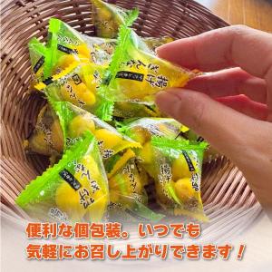 小袋おつまみ 揚げぎんなん 約100g 塩味 ...の詳細画像4