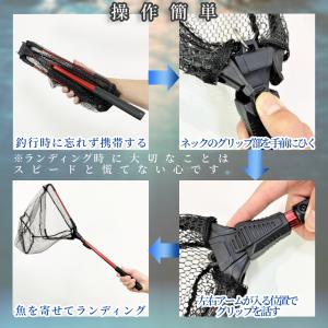 折りたたみ たも 網 タモ ワンタッチ ランデ...の詳細画像3