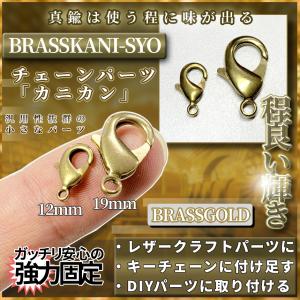 ネックレス ペンダント トップ 真鍮 針 フック ドラゴン テール