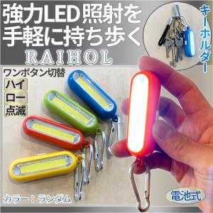 LED ミニ ライト キーホルダー カラビナ COB 小型 懐中電灯 3段階 調光 電池式 乾電池 軽量 照明 光 アウトドア 散歩 ランニング ウォーキング キャンプ RAIHOL