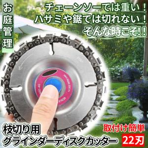 グラインダー ディスク用 カッター チェーンソー 枝切り 剪定 枝 木 園芸 庭 手入れ DIY 座ぐりカッター 直径 100mm 穴径 16mm 22歯切り 木彫 彫刻 工具 DISCA｜パルワン