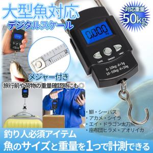 デジタル スケール 吊り下げ はかり 50kg...の詳細画像1