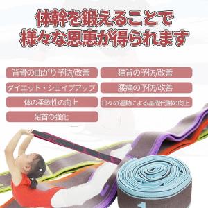 ストレッチ ゴム バンド フィットネス ベルト...の詳細画像2