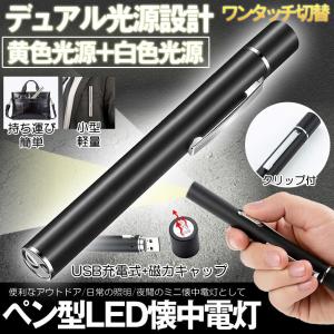 NISYURAI ペン型LED懐中電灯の商品画像